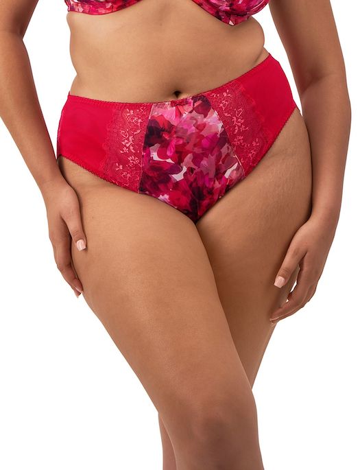 Elomi Morgan High Leg Brief