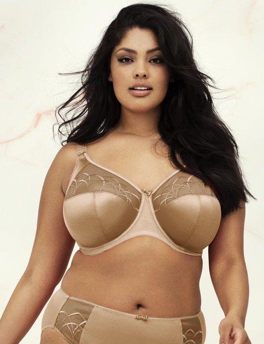 Elomi 4301, Smooth Moulded Seamless Underwire T-Shirt Bra – Lingerie By  Susan